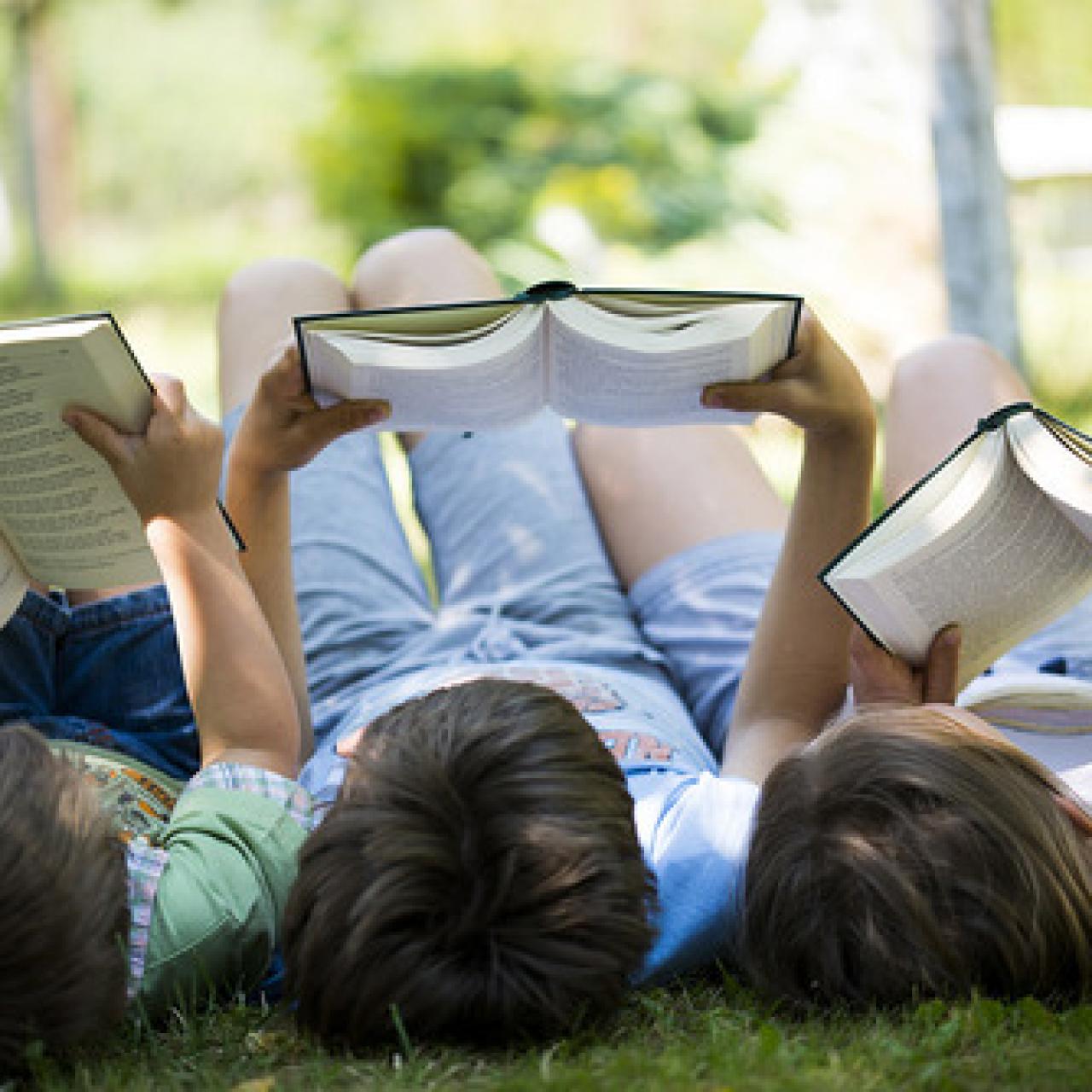 Leseinitiative Sommerferien OÖ